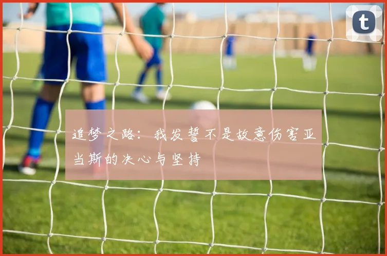 追梦之路：我发誓不是故意伤害亚当斯的决心与坚持
