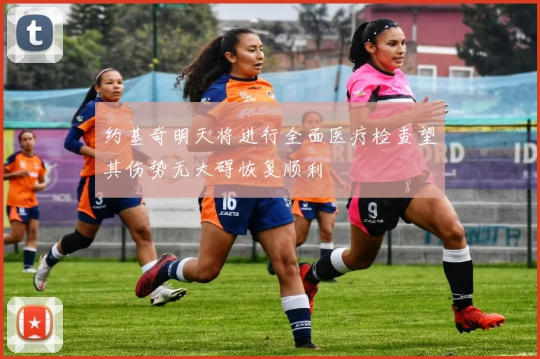 约基奇明天将进行全面医疗检查望其伤势无大碍恢复顺利