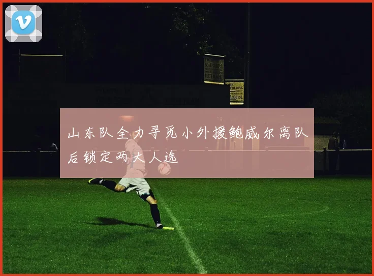 山东队全力寻觅小外援鲍威尔离队后锁定两大人选