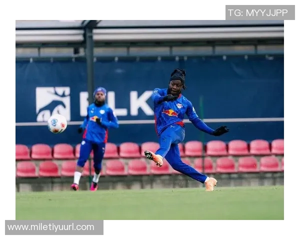 德国队红牛竞技场比赛RB莱比锡收入50万欧元助力球队发展